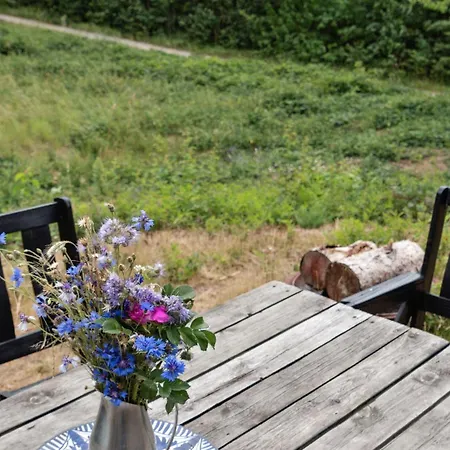 Semesterbostad Rustic Cosiness In Norwegian Log With View