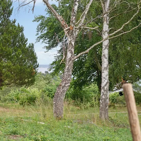 Rustic Cosiness In Norwegian Log With View