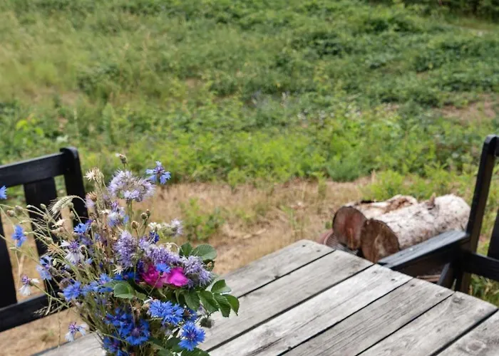 Rustic Cosiness In Norwegian Log With View Semesterbostad Knebel